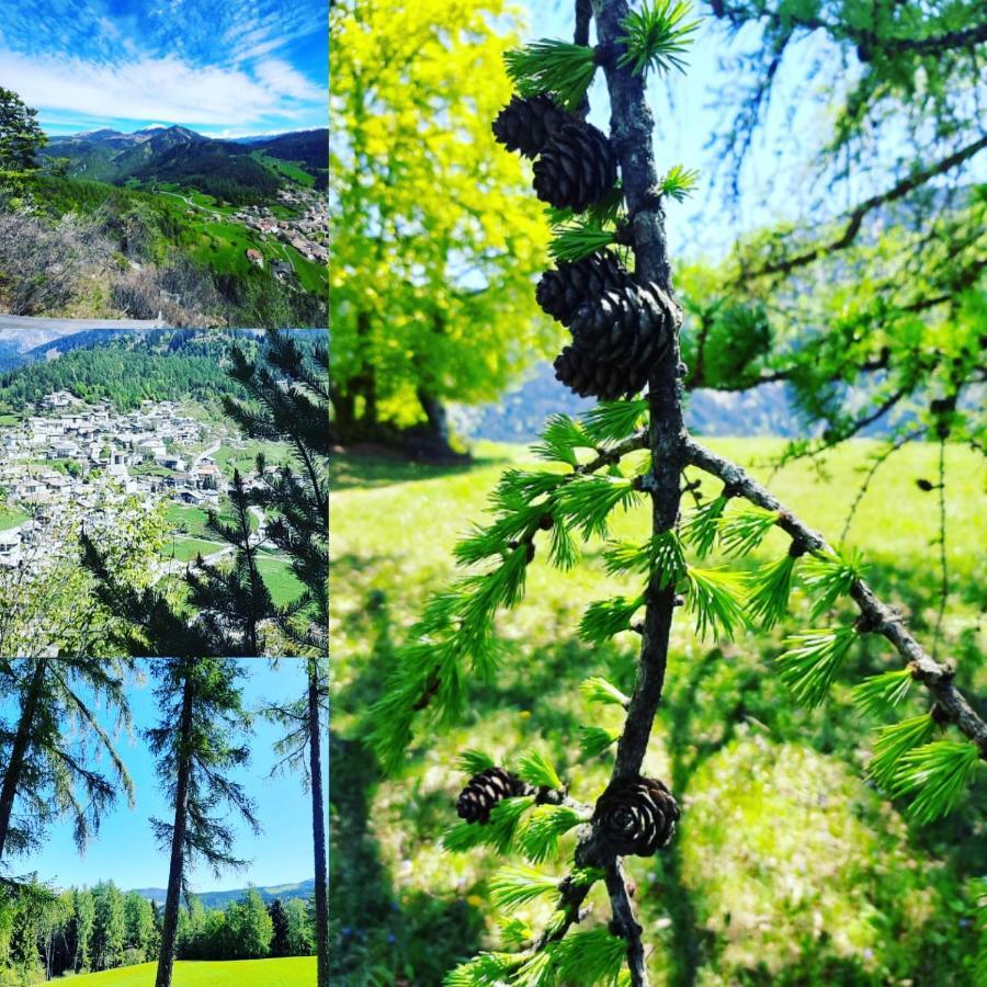 Hotel Trudnerhof Im Naturpark Trudnerhorn โตรเดนา ภายนอก รูปภาพ