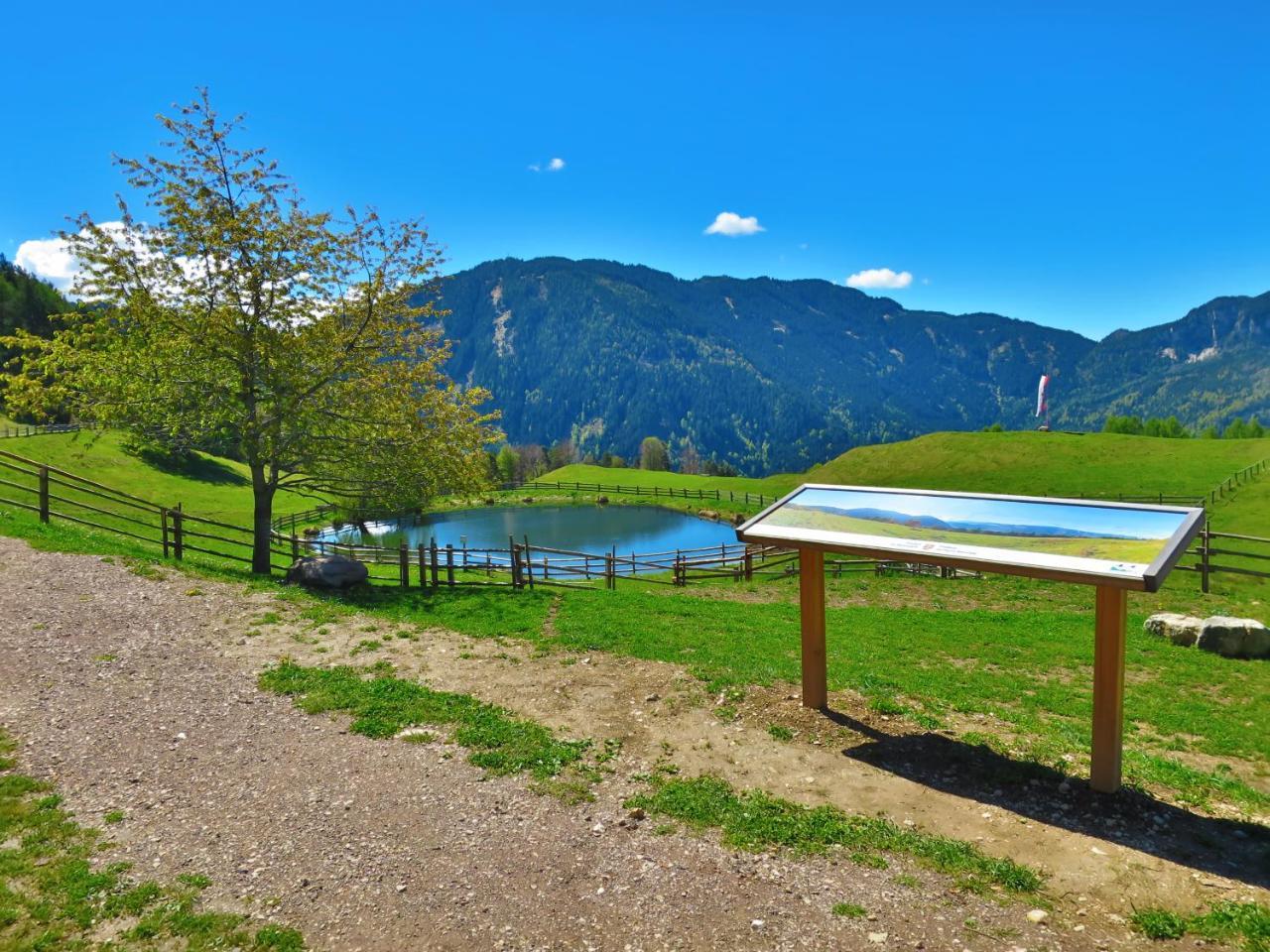Hotel Trudnerhof Im Naturpark Trudnerhorn โตรเดนา ภายนอก รูปภาพ